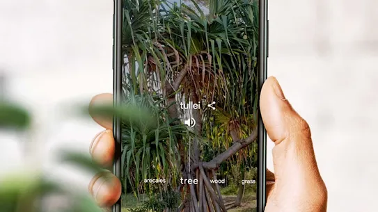 Phone showing Woolaroo language tool